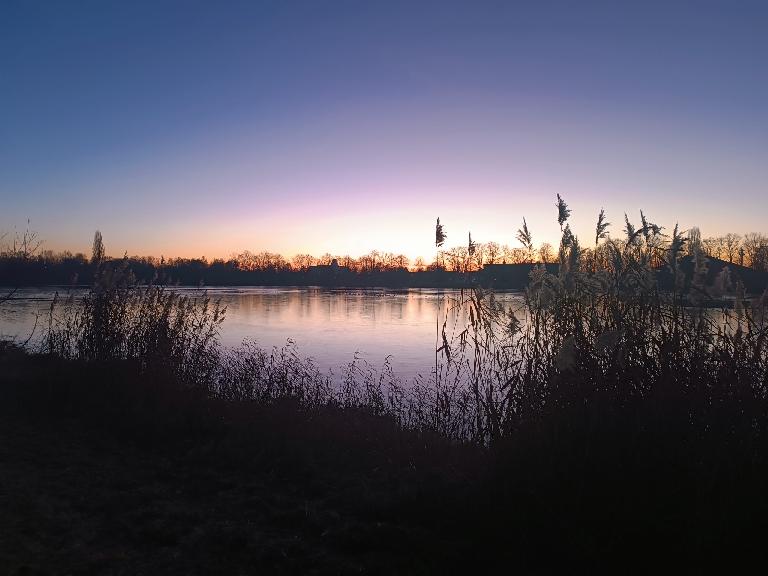 Services img-20251226-165708